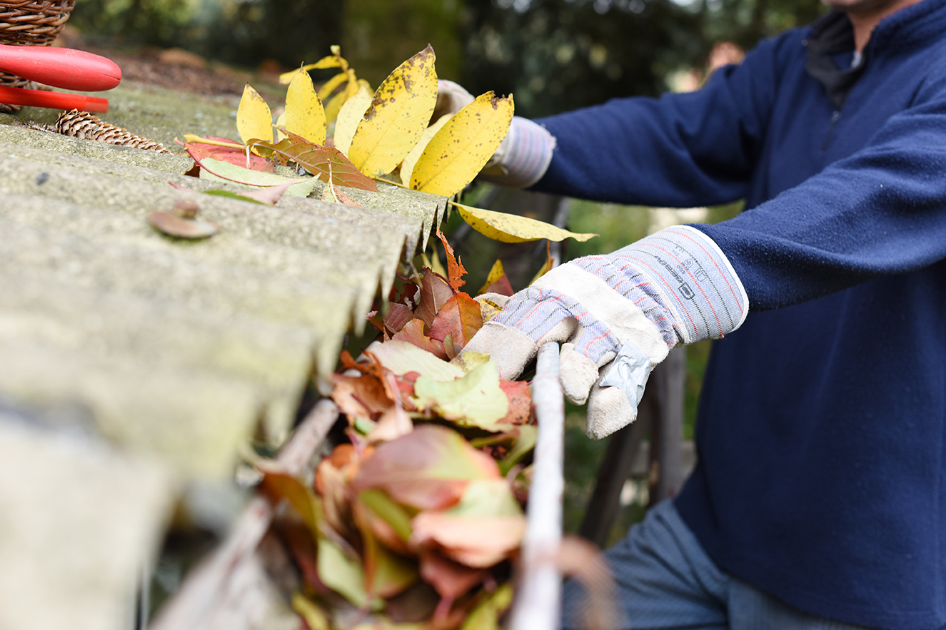 Plan Insurance 10 Autumn Home Maintenance Tips   AdobeStock 226741775x 